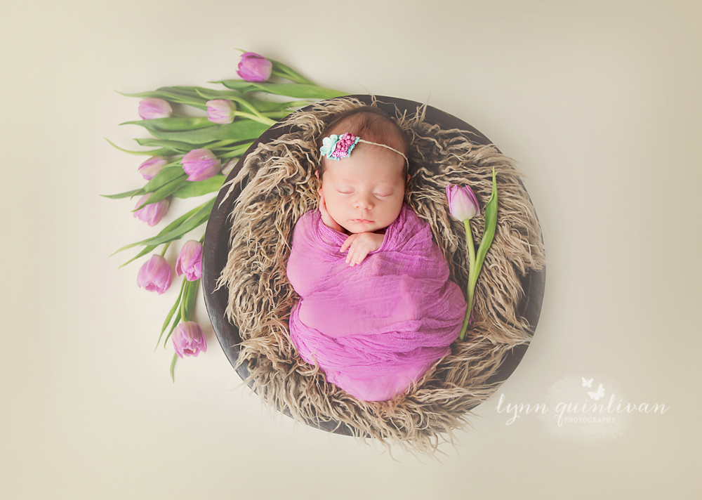 Newborn Photography in Boston MA