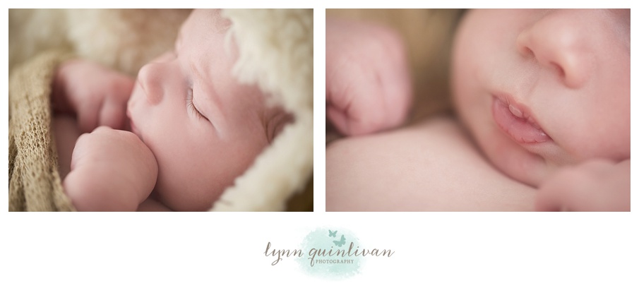 Lynn Quinlivan Photography Massachusetts Photographer MA Worcester Millbury Holden Sutton Shrewsbury Grafton Artistic Newborn Baby Photography Images Millbury Mass Holden Shrewsbury Grafton Sutton Worcester_0002