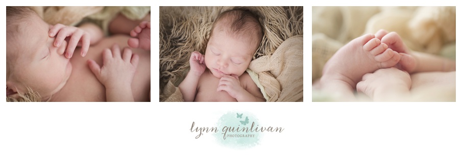 Lynn Quinlivan Photography Massachusetts Photographer MA Worcester Millbury Holden Sutton Shrewsbury Grafton Artistic Newborn Baby Photography Images Millbury Mass Holden Shrewsbury Grafton Sutton Worcester_0014