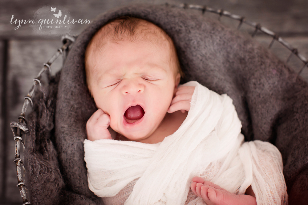 MA Newborn Photos