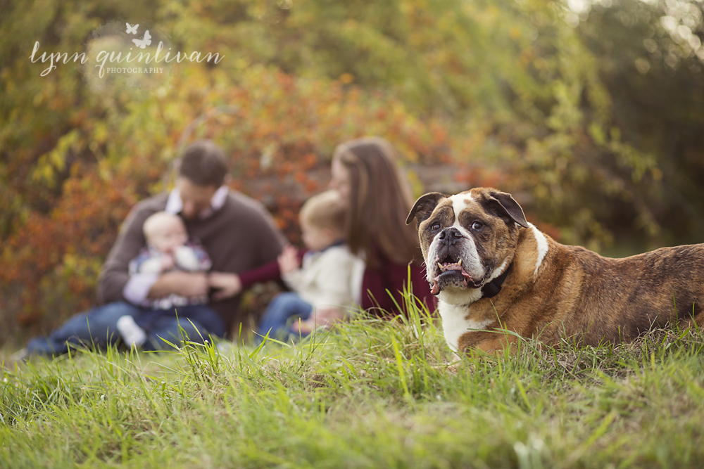 Ma Outdoor Family Photographer