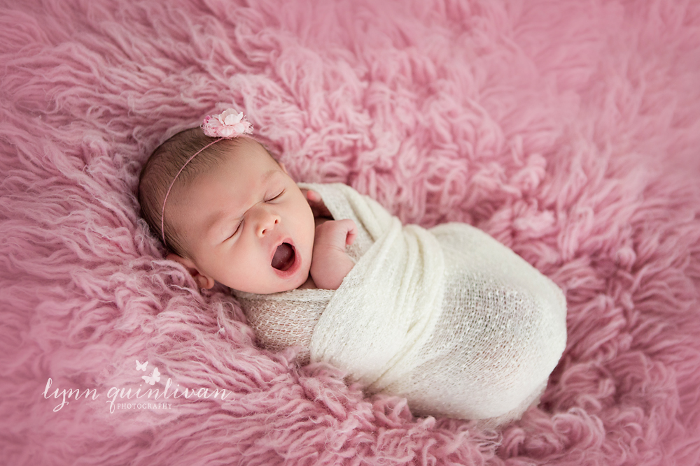 Massachusetts Newborn Photos