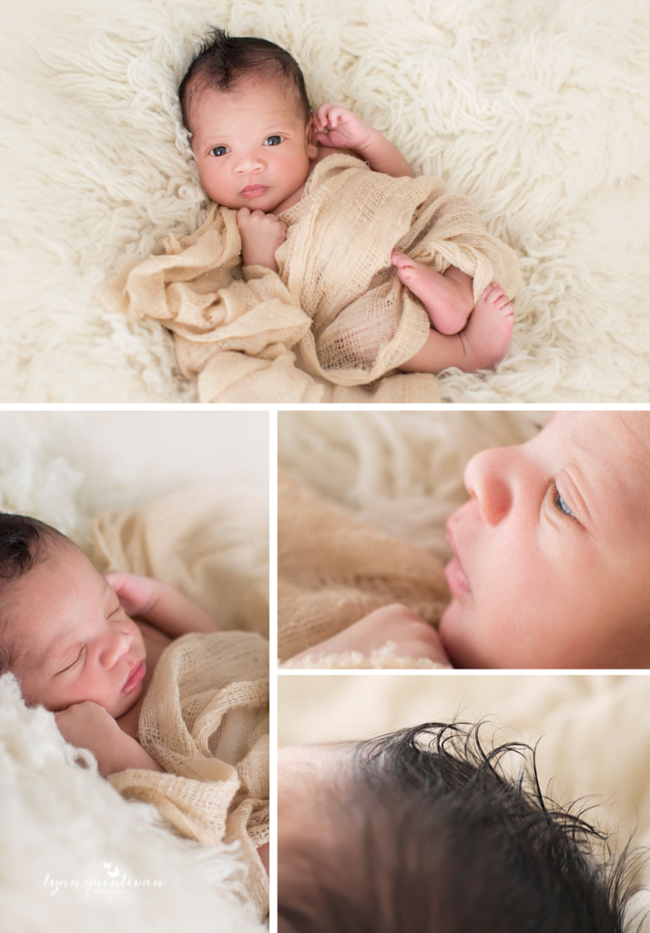 MA Baby Photography Newborn Photographer  psd
