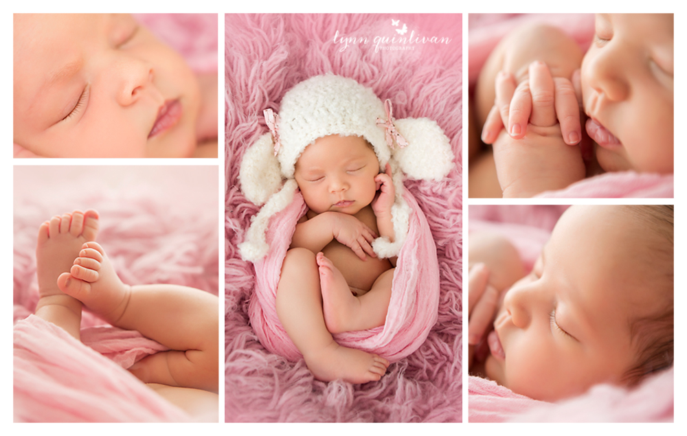 MA Newborn Photography