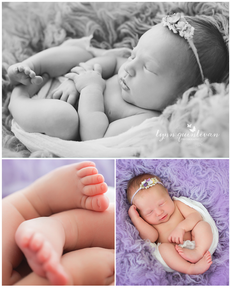 Northborough Mass Newborn Photographer