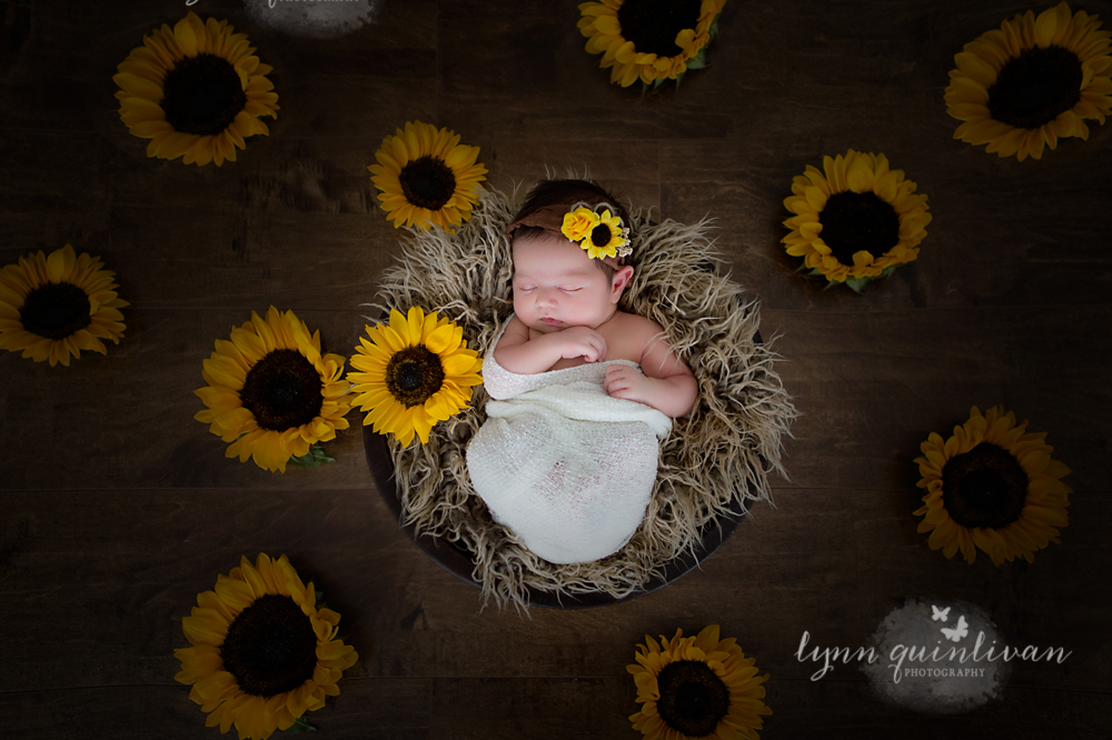 MA Newborn Baby Photographer