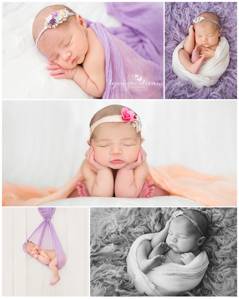 Holden MA Newborn Photos