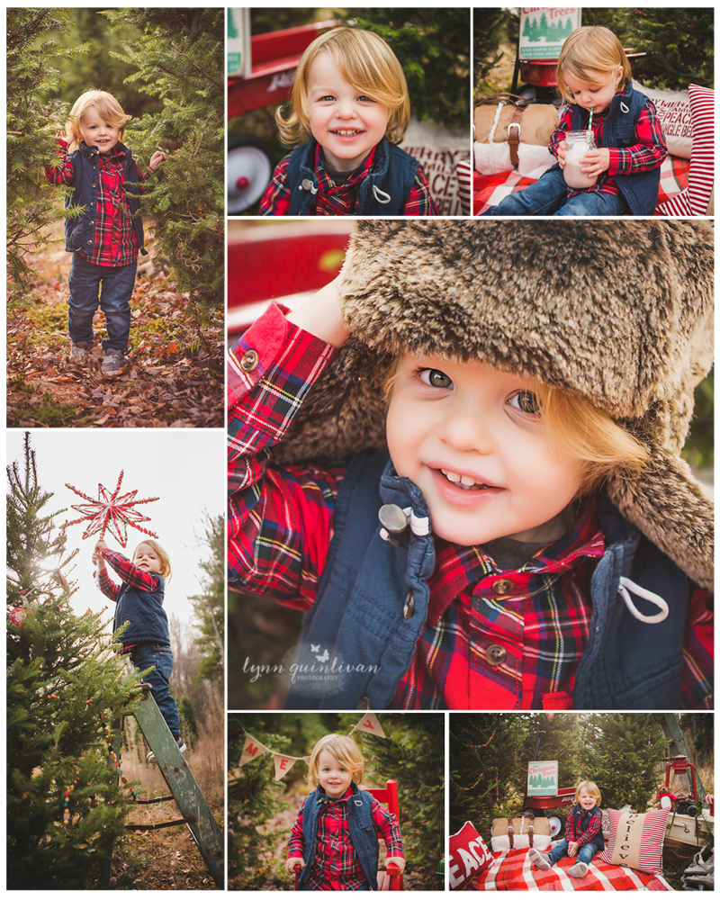 Holiday Mini Session