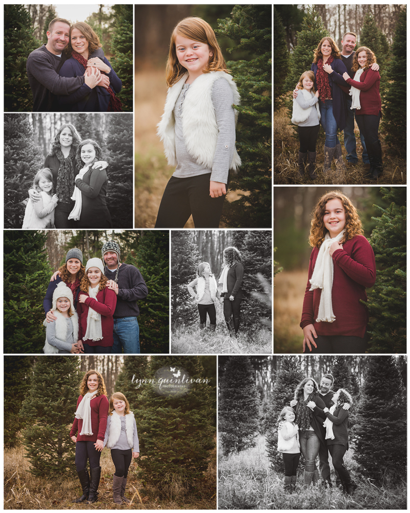 Massachusetts Holiday Mini Session