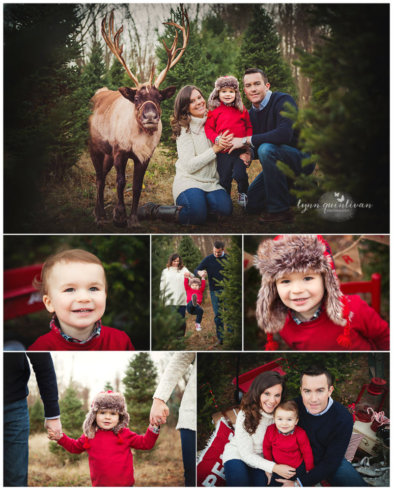 2015 Holiday Mini Sessions