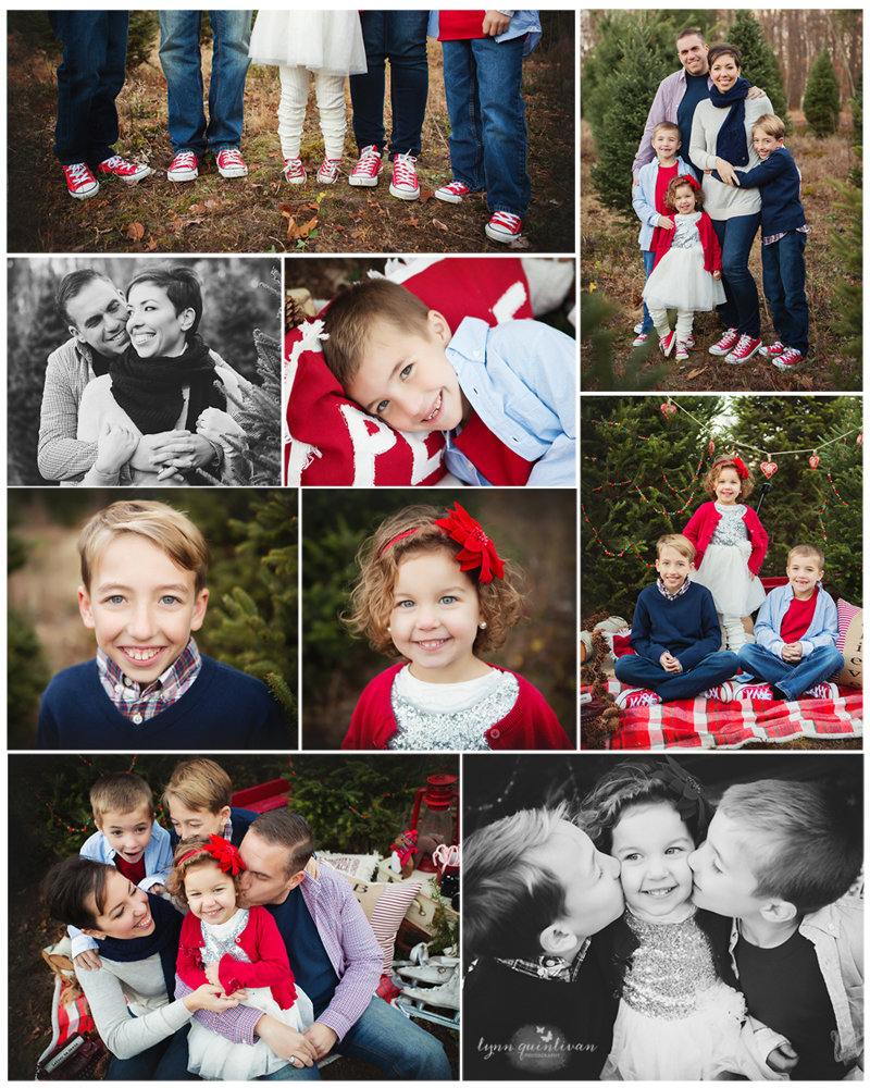 MA Christmas Mini Session