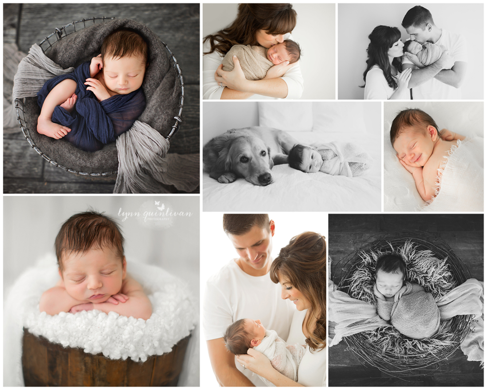 MA Newborn Baby & Dog Photos