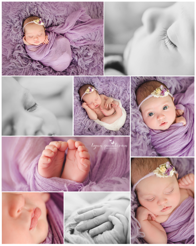 Massachusetts Newborn Photographer