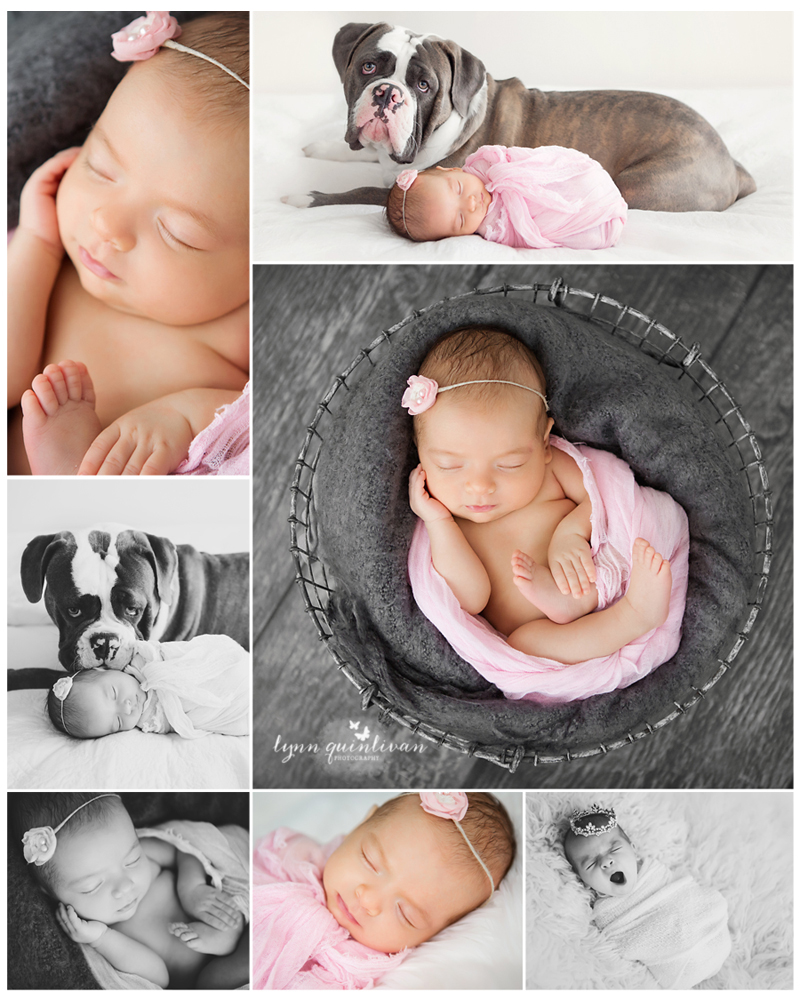 Mass Signature Newborn Photo Session