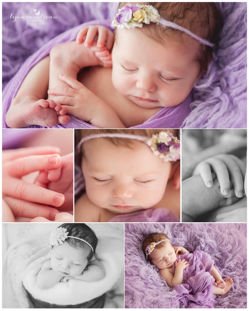 Boston MA Newborn Photography