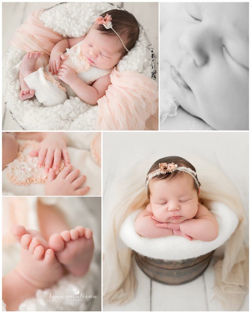 Shrewsbury MA Newborn Photographer