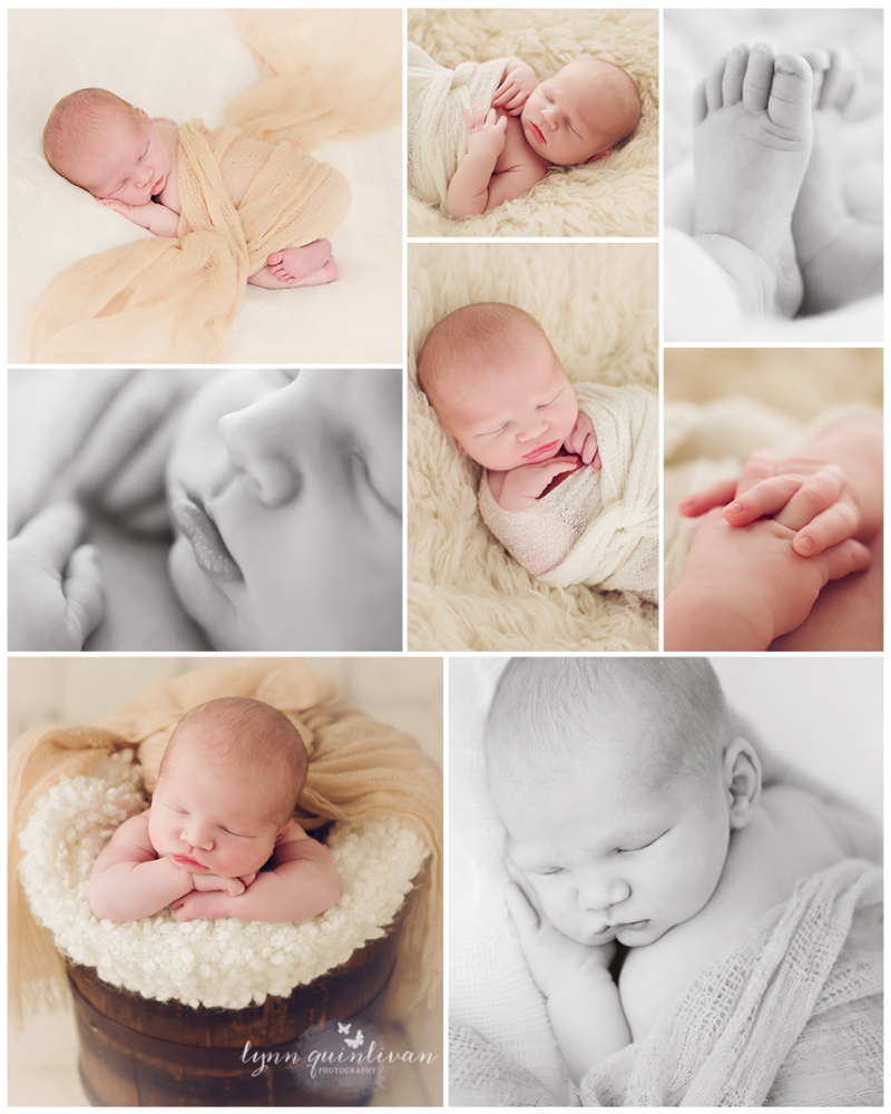 New England Baby Photographer