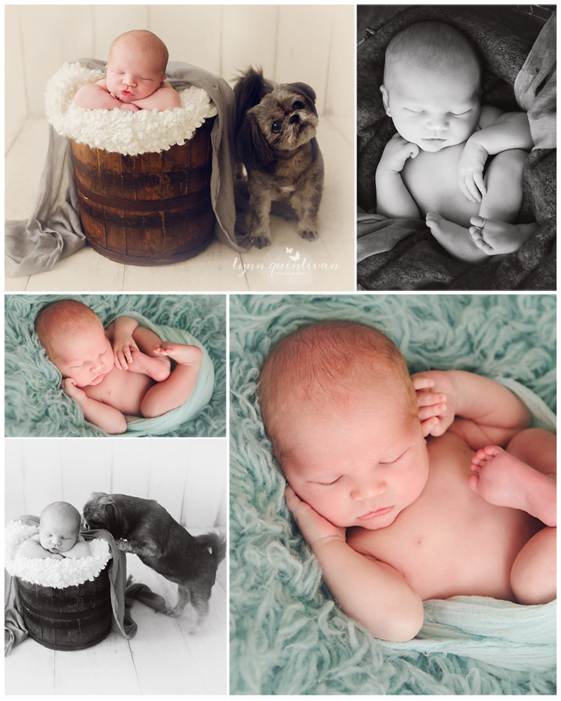 New England Baby Photography