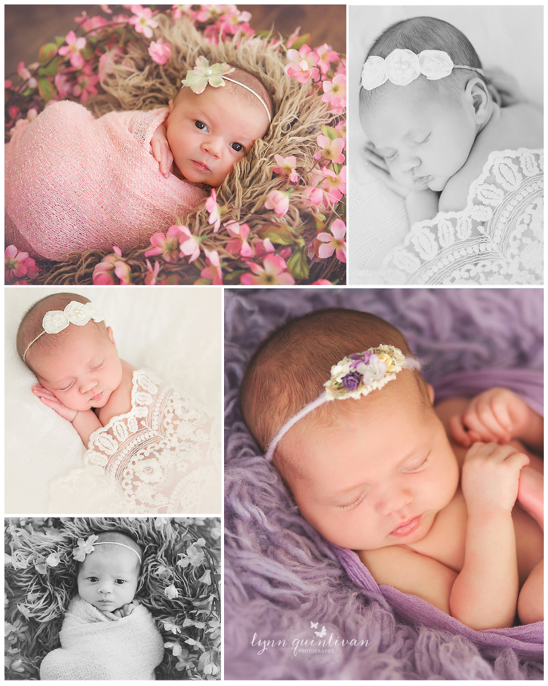 Newborn Photographer Boston MA