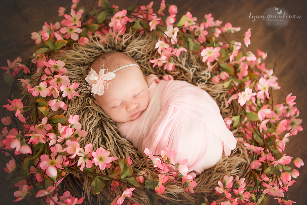 Newborn Baby Massachusetts