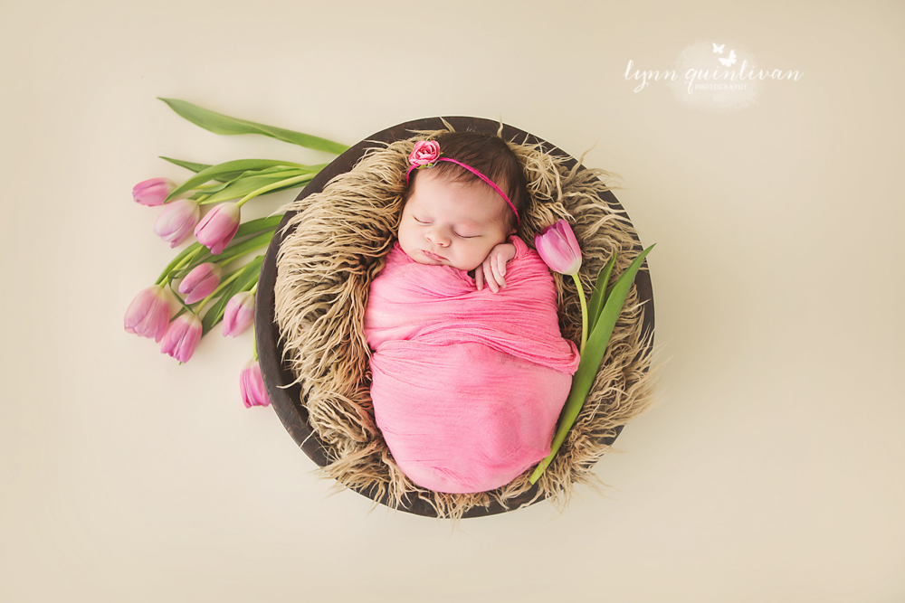 Massachusetts Newborn Portrait Studio