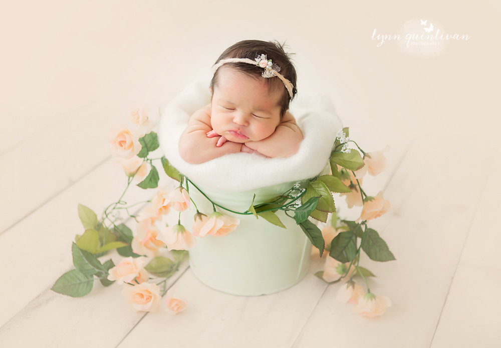 Mass Newborn Baby Photographs