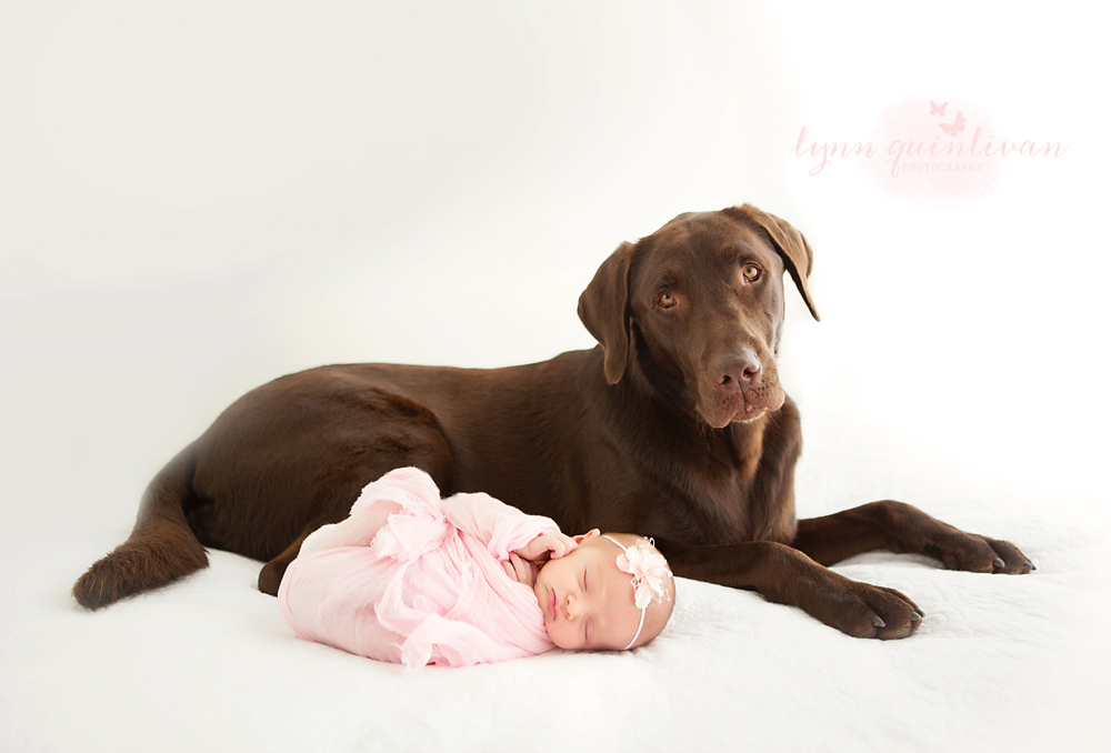 Massachusetts Baby Photography