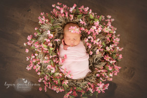 newborn photographers near me