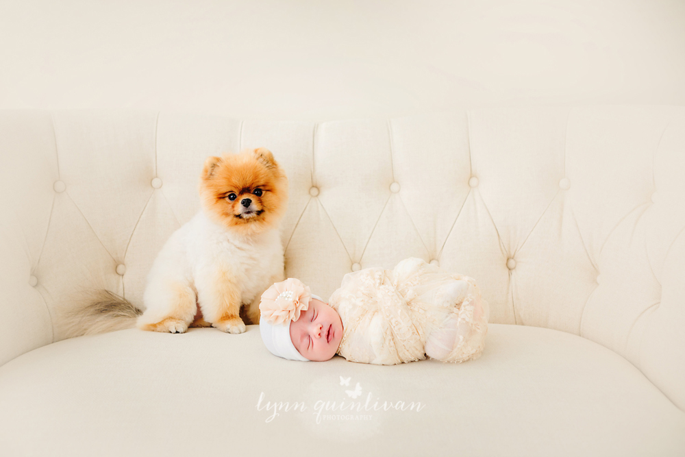 Newborn and Pet Photography in Massachusetts