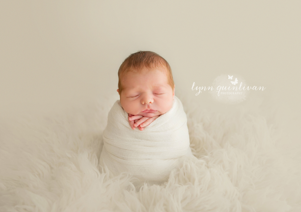 newborn photographer in massachusetts