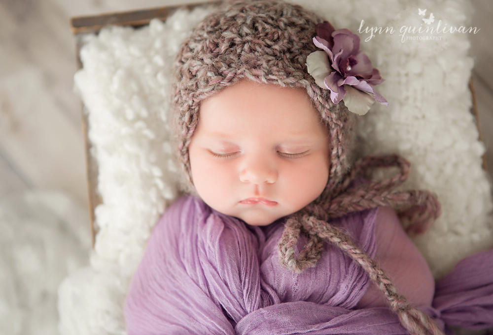 Baby Photo Studio in Massachusetts 