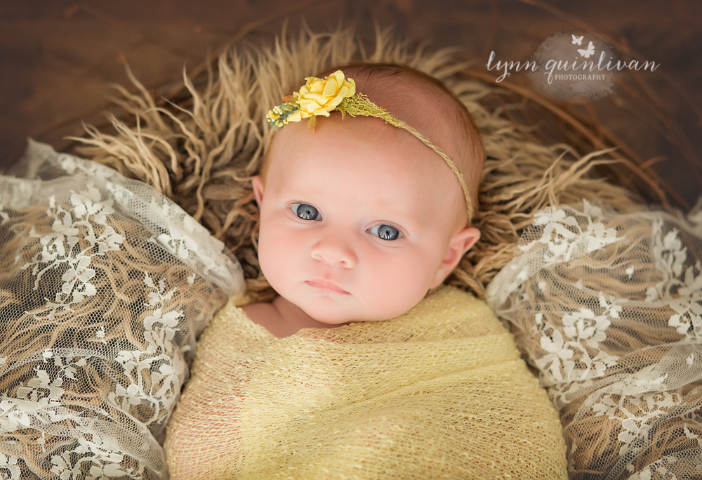 Massachusetts Newborn Photo Studio