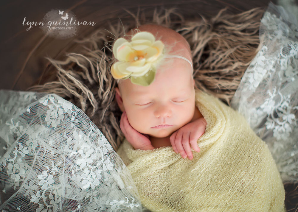 MA Newborn Baby Photographer