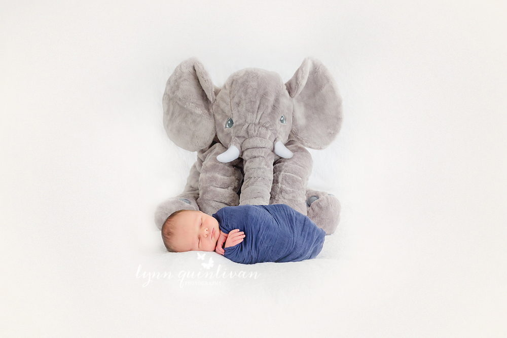 Central Mass Newborn Photography