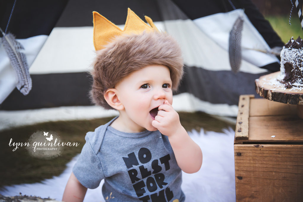 Where the Wild Things Birthday Caskesmash MA Photographer First birthday 1