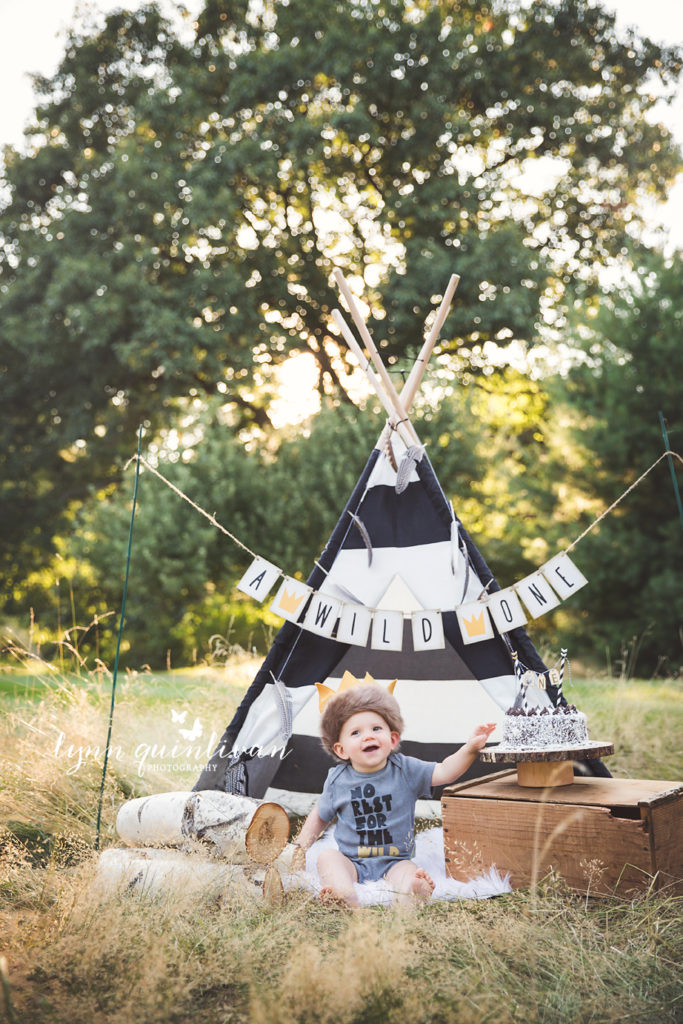 Where the Wild Things Birthday Caskesmash MA Photographer First birthday