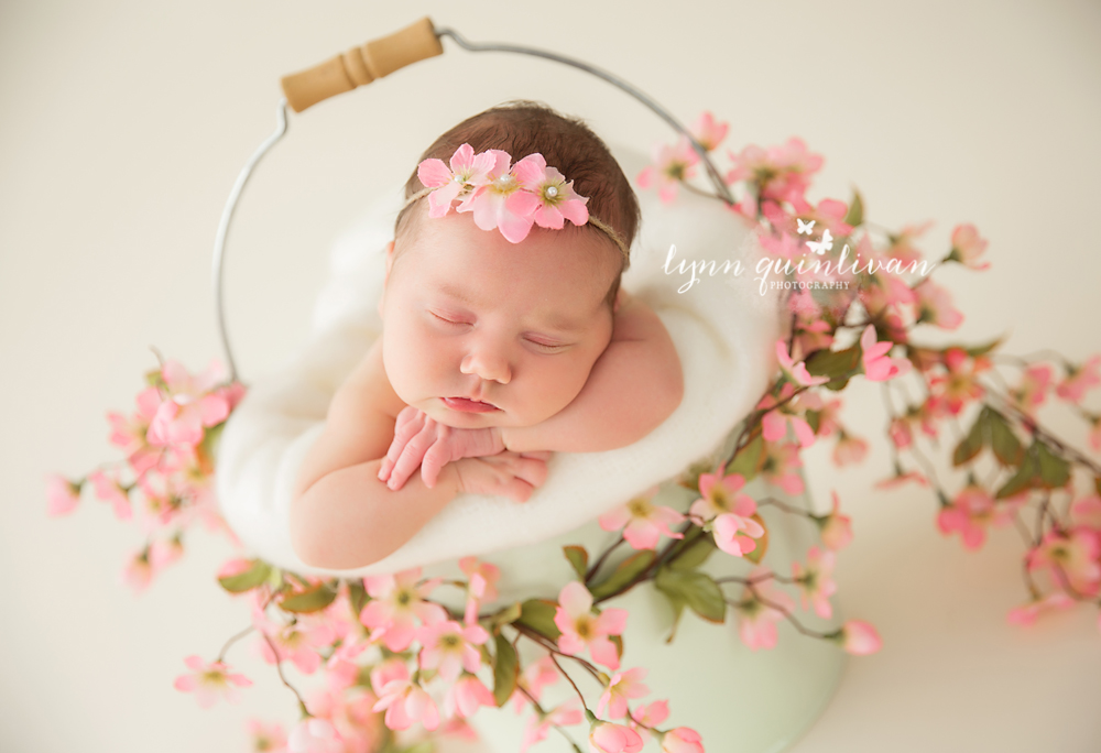 Massachusetts Newborn Photography