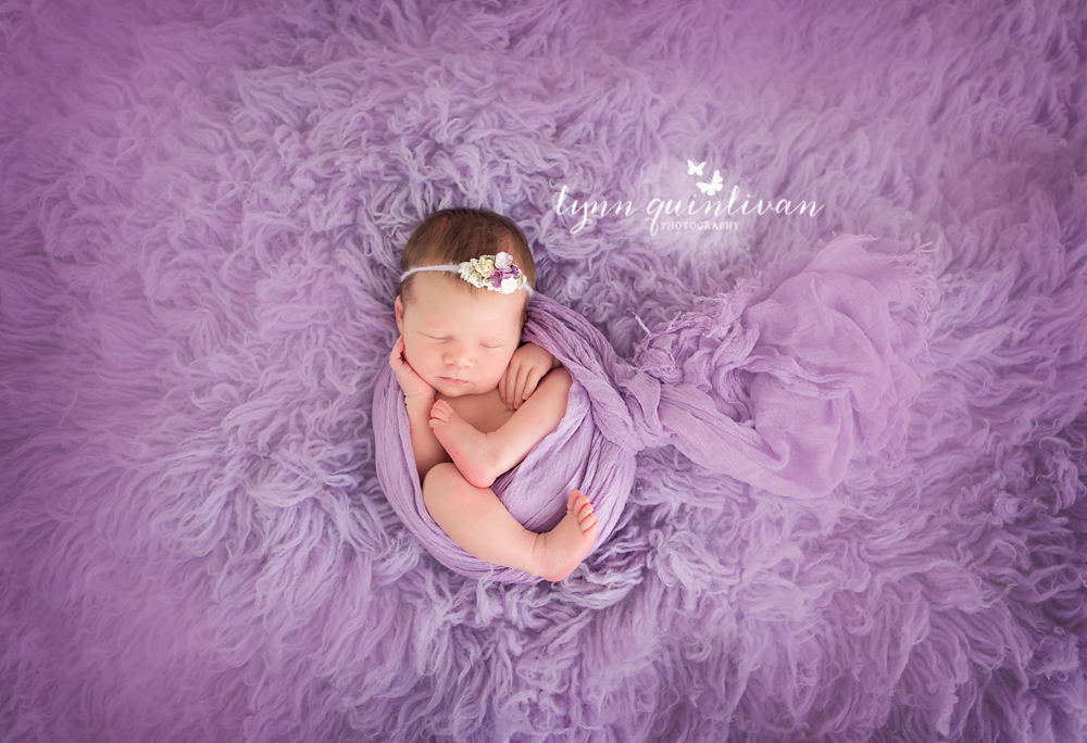 Newborn Photographer in Boston MA