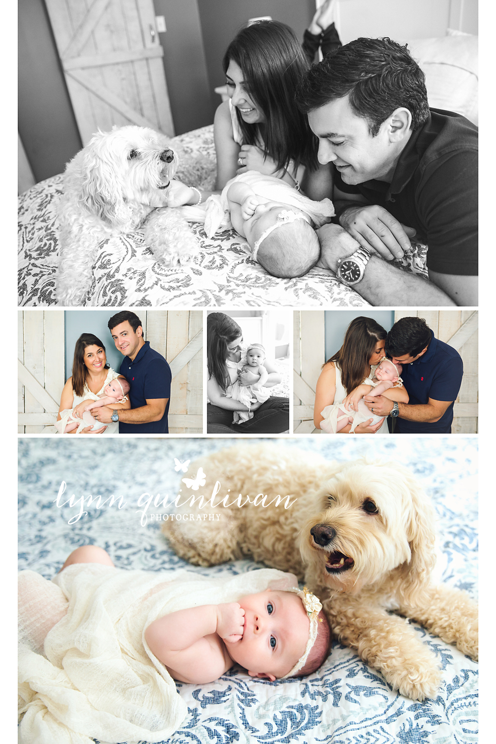 newborn photographer massachusetts