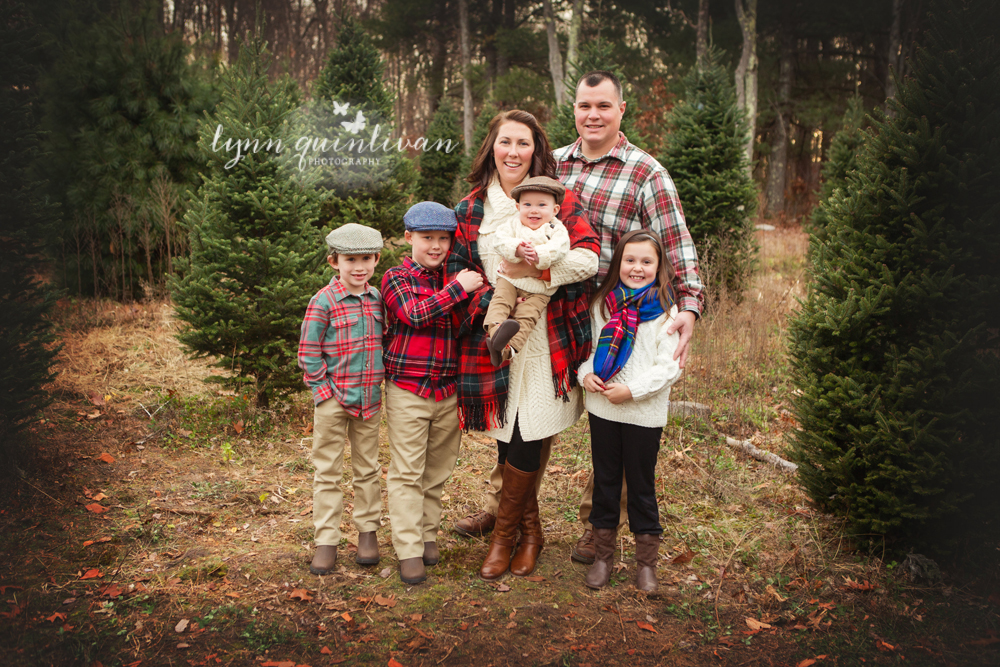 Massachusetts Holiday Mini Session