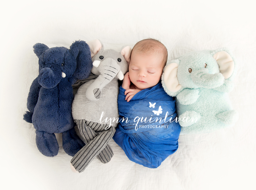 Boston MA Newborn Photography