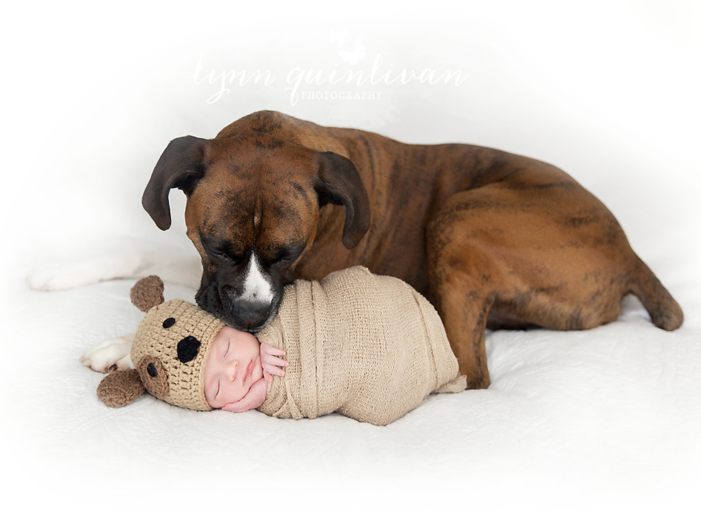 Boston MA Newborn and Dog Photographer