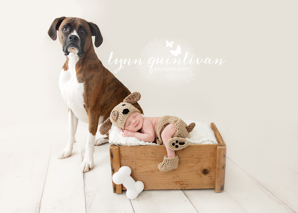 Boston MA Newborn and Dog Photography