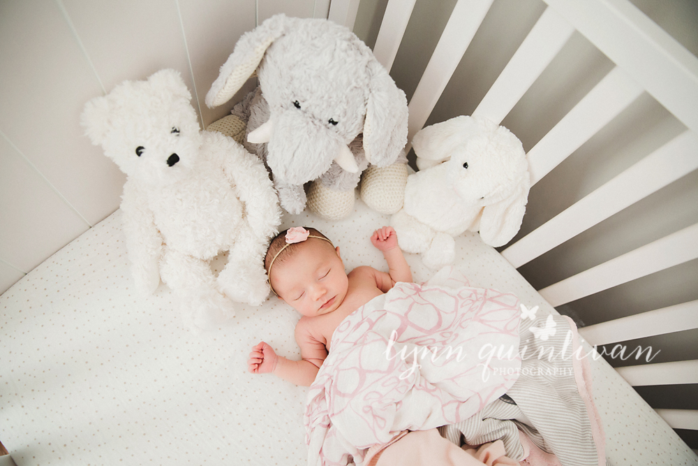 Massachusetts In Home Newborn Photography