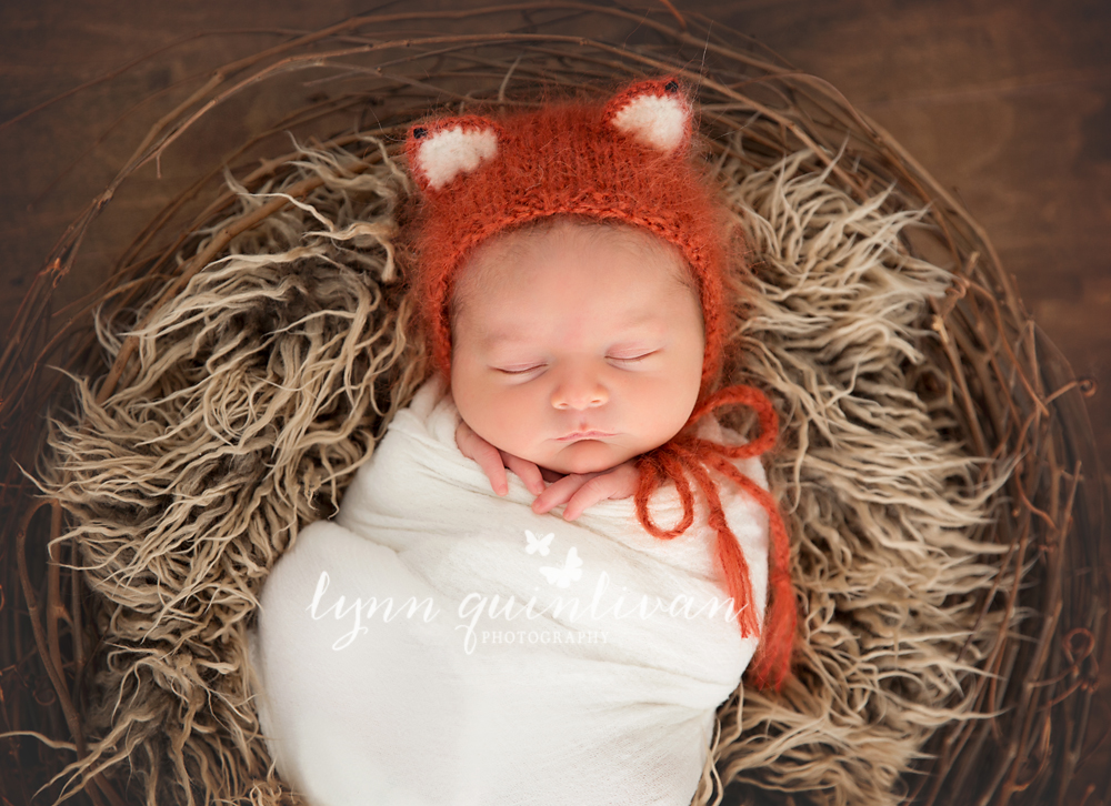 Newborn Photographer in Boylston MA