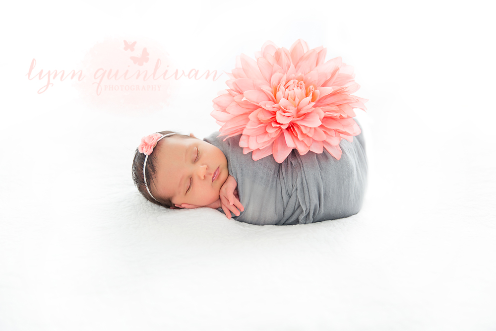 Worcester County Newborn Photography