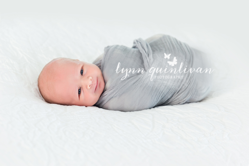 In Home Newborn Photos in Millbury MA