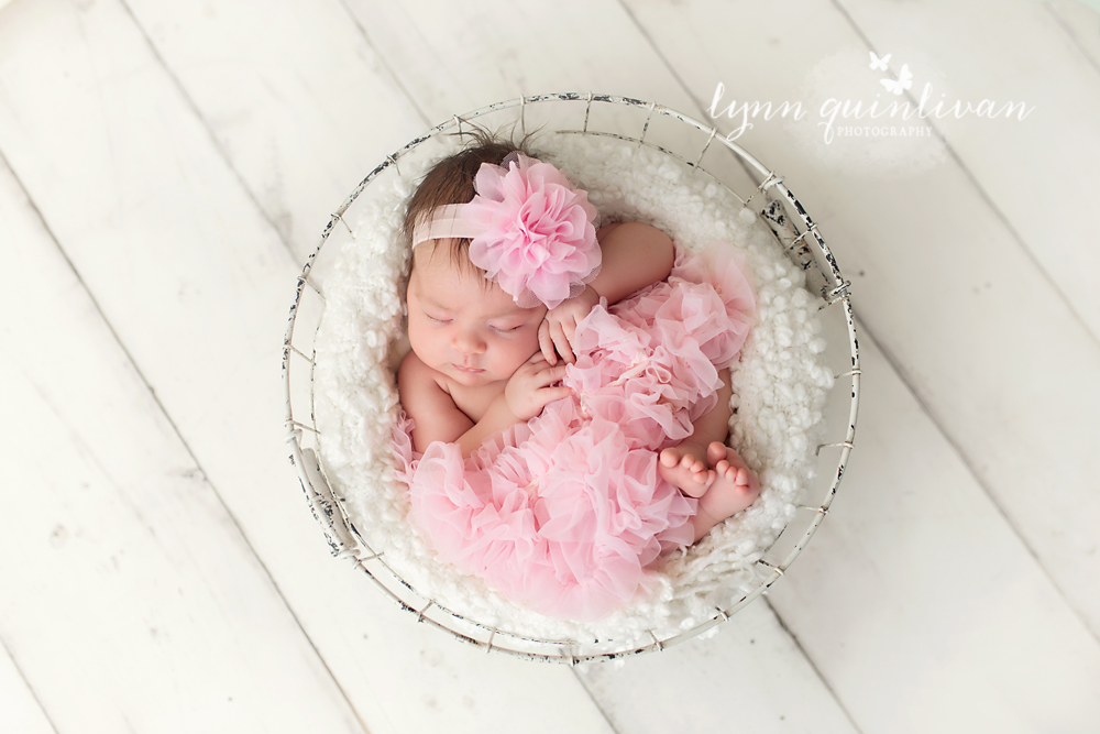 Grafton MA Newborn Photography