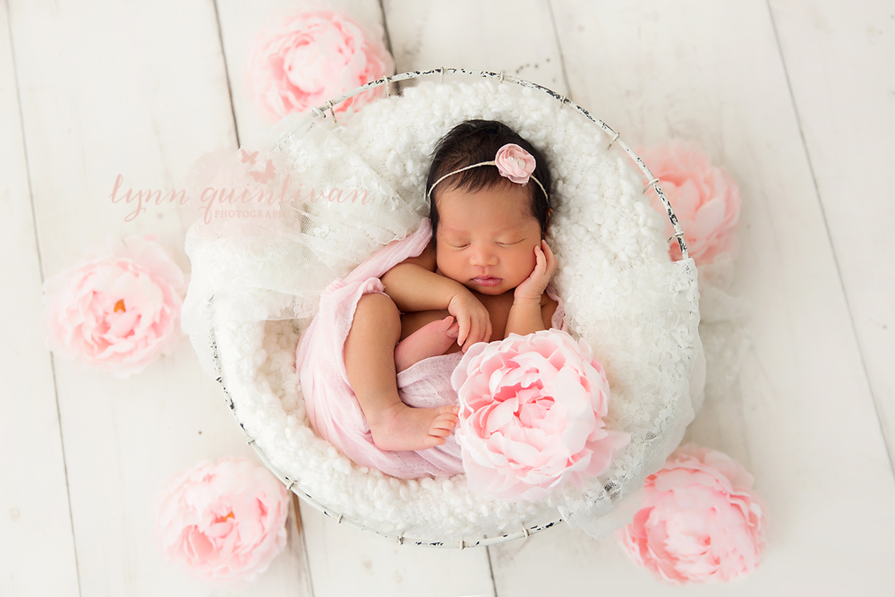 Massachusetts Newborn Portraits 