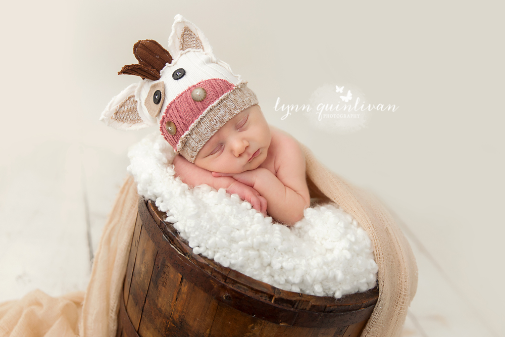 Newborn Baby Photo Session